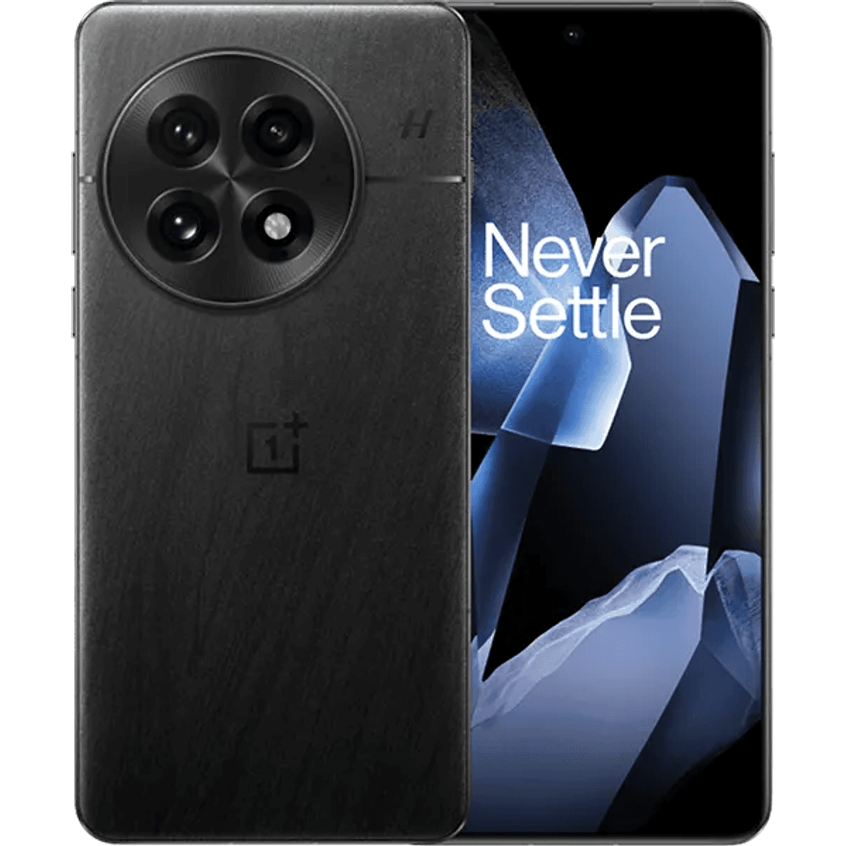 OnePlus 13